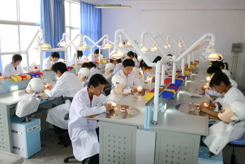 長春醫學高等專科學校2019年單獨招生簡章