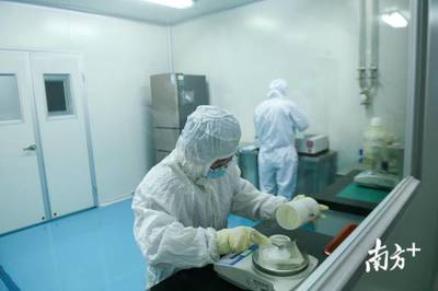粵企戰疫錄 廣東機房里的新征程——計算機技術開發復工復產紀實